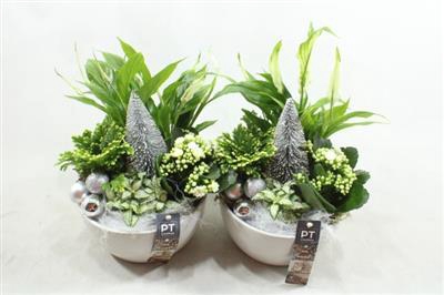 <h4>4305 KER WIT SPATH</h4>