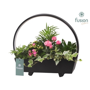 Lamp LED boog hout met Arrangement