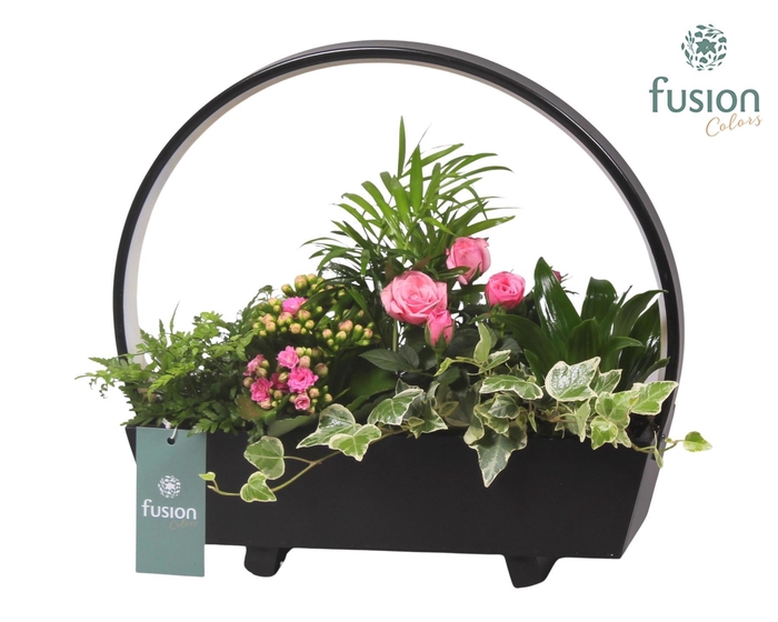 <h4>Lamp LED boog hout met Arrangement</h4>