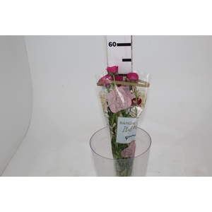 RANUN. ELEGANCE PINK PINK