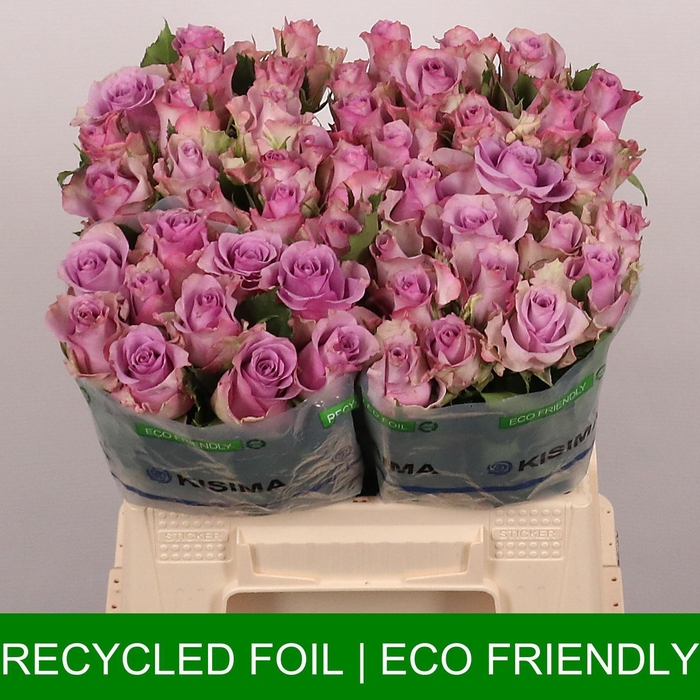 <h4>R GR NIGHTINGALE!</h4>