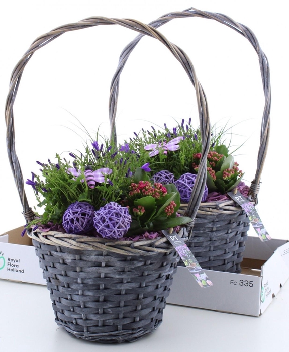 <h4>ARR TUINPLANTEN</h4>