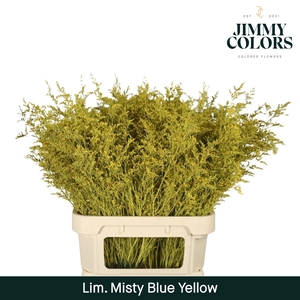 Lim Misty Blue L90 Yellow
