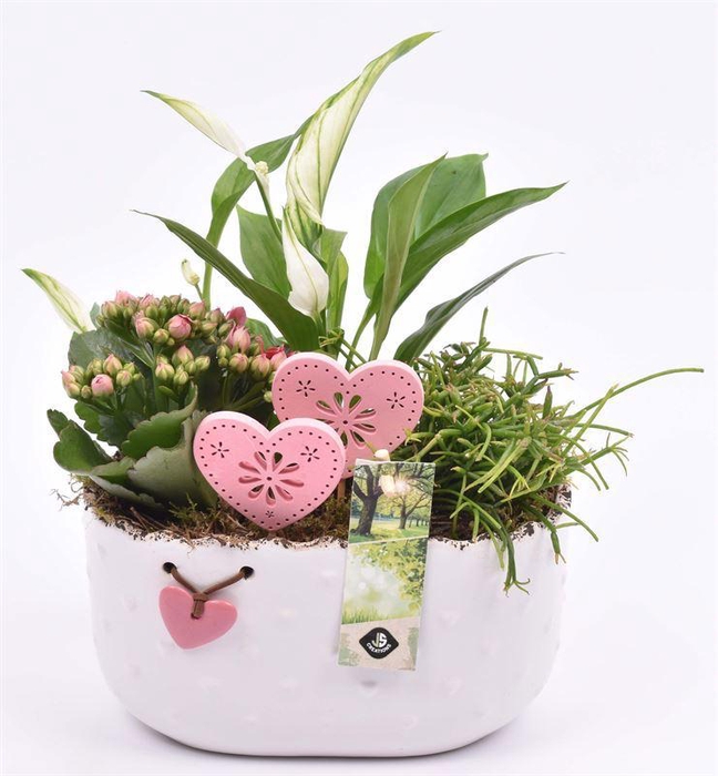 <h4>Keramiek ovaal met hartje 19.5x11CM</h4>