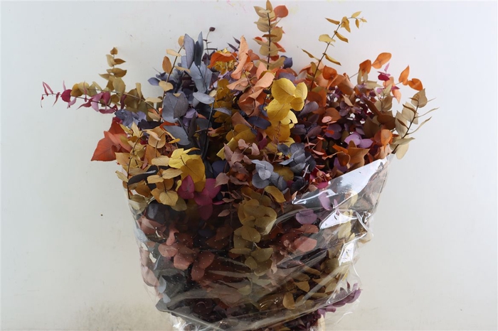 <h4>Pres Euca Stuartiana Mix Spring Bunch</h4>