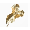 Anthurium Leaf Gold