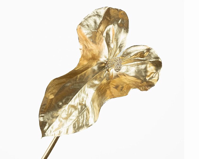 <h4>Anthurium Leaf Gold</h4>