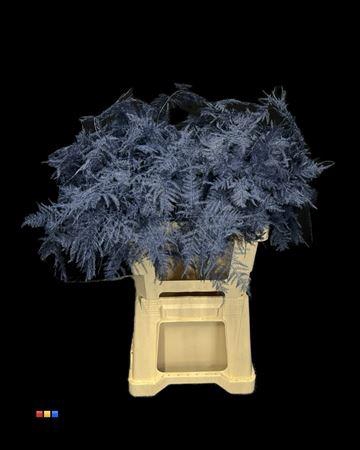 <h4>Asp Extra Marine Blue</h4>