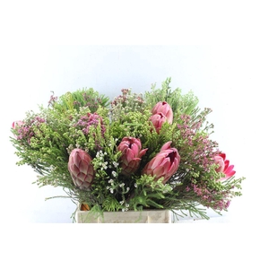Protea Boeket