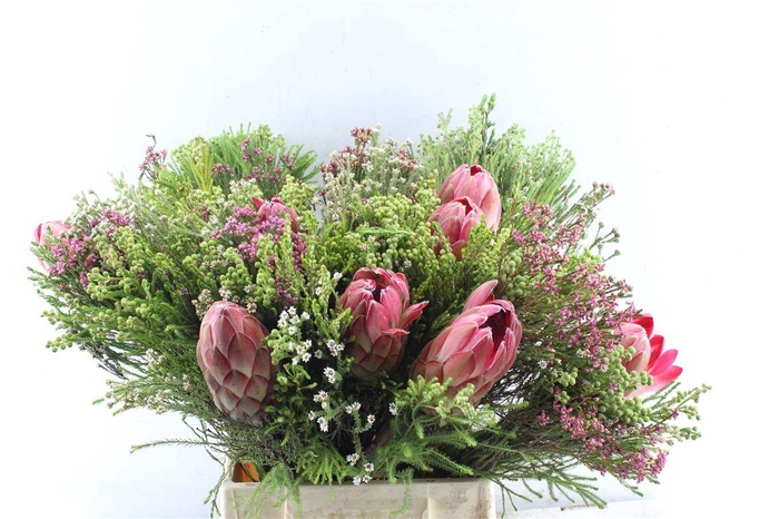 <h4>Protea Boeket</h4>