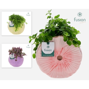 Keramiek Medium pot met groen planten mix