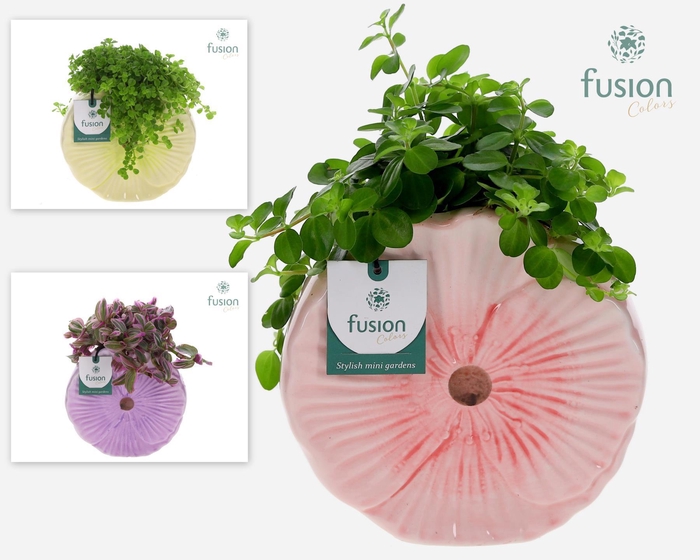 <h4>Keramiek Medium pot met groen planten mix</h4>