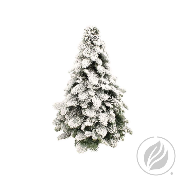 <h4>Nobilis Boom Rond Sneeuw 50cm</h4>