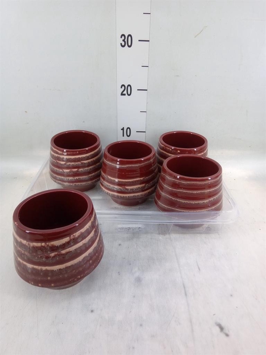 <h4>Pot   ...Keramische H%</h4>