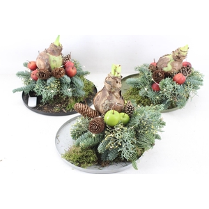 arr4 Amaryllis MB - Zink rand kerst LED mix