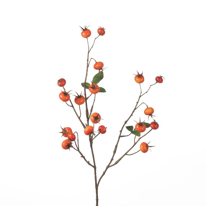 AF Rosehip Pumpkin Sp L86cm Or