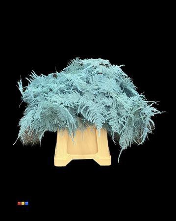 <h4>Asp 1e Light Blue</h4>