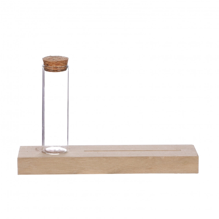 Glass Tube+wood d03*10cm