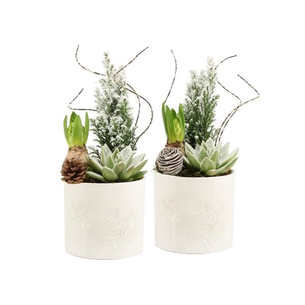 <h4>61693: X-mas arrangement</h4>