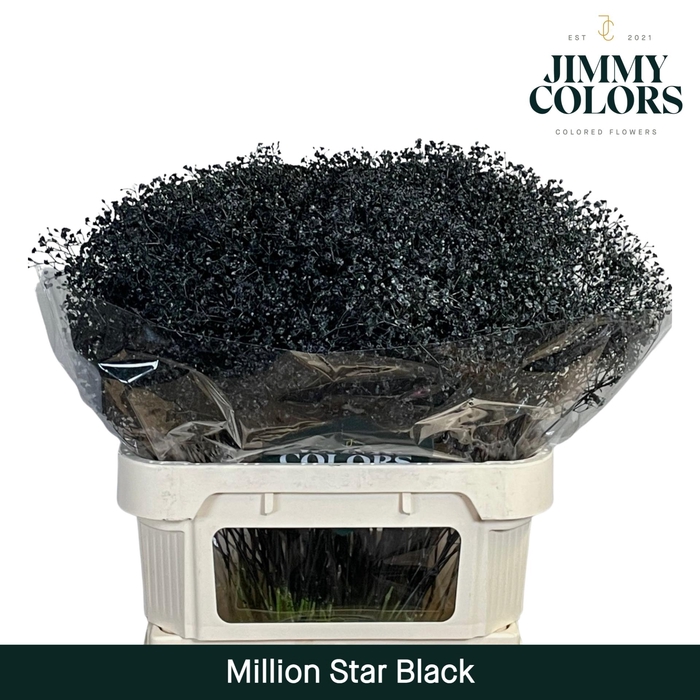 <h4>Gyps Million Star L80 Black</h4>