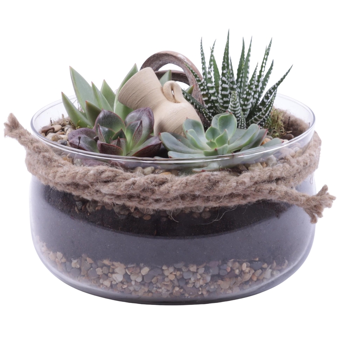 <h4>Yearround Arr. Succulent Glass Bowl with Rope Ø20cm 4PP</h4>