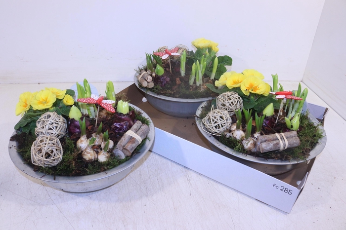 <h4>ARR PL IN SCHAAL</h4>