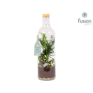 Green Bottle Fles Large met Groen Planten Arrangement