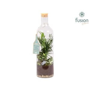 Green Bottle Fles Large met Groen Planten Arrangement