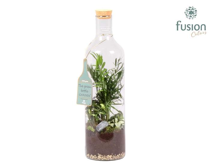 <h4>Green Bottle Fles Large met Groen Planten Arrangement</h4>