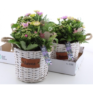 ARR TUINPLANTEN