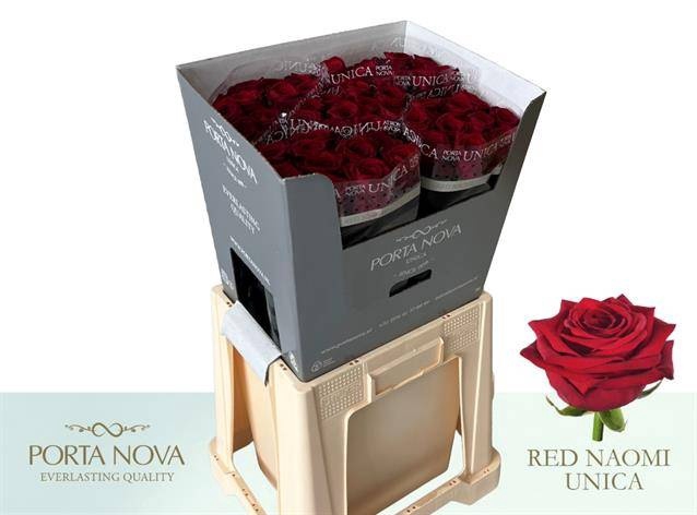<h4>R GR RED NAOMI!</h4>