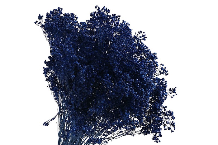 <h4>Broom Bloom Blue Dark</h4>
