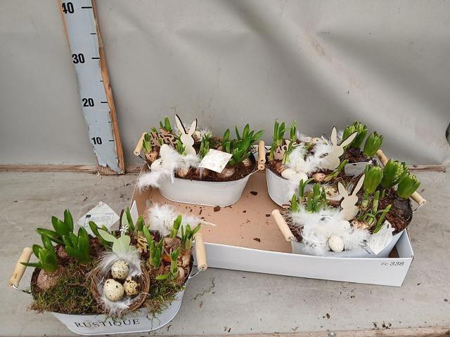 Arr Bol Knol In Zinken Teil Met Hengsel