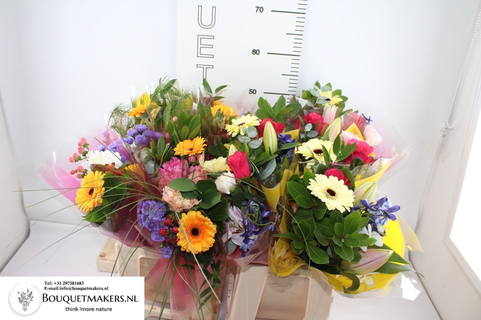 <h4>GEM BOEKET OV</h4>