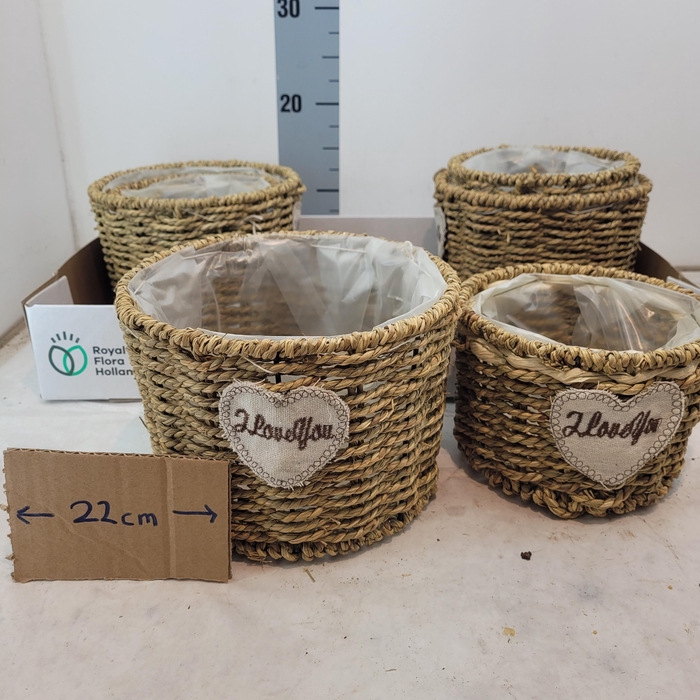 <h4>Mandwerk H%</h4>