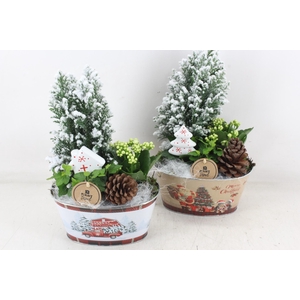 arr2 PL - Zink ovaal xmas picea 338/6