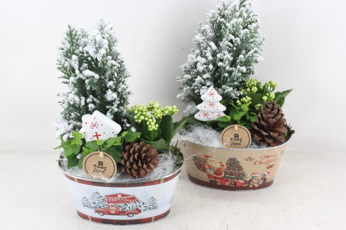 <h4>arr2 PL - Zink ovaal xmas picea 338/6</h4>