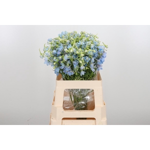 Delphinium En Ballkleid