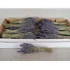 DF LAVENDER BS 80GR