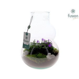 Green Bottle Olaf Medium met Campanula 24uur levertijd