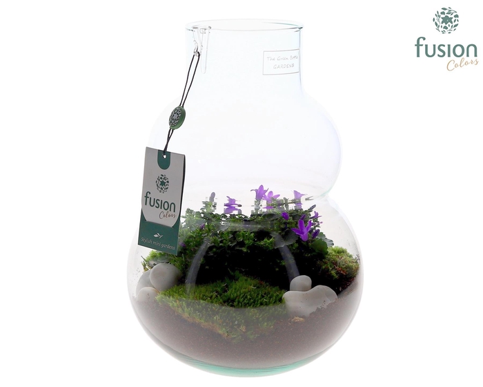 <h4>Green Bottle Olaf Medium met Campanula 24uur levertijd</h4>