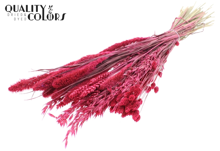 <h4>Dried Flower mix bunch Cerise</h4>