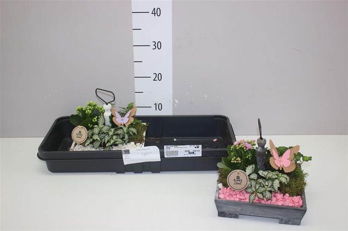 <h4>Arr 0442 Etagere 4 Kant</h4>