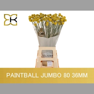 CRAS PAINTBALL JUMBO