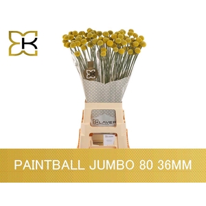 Cras Paintball Jumbo