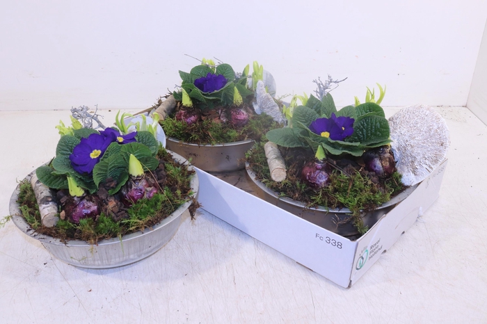 <h4>ARR TUINPLANTEN</h4>