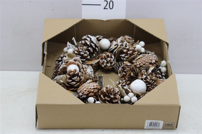 <h4>Wreath 5209 Northern Glow Snow D-30</h4>