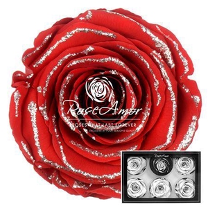 Pr 1 Glitter Silver Red02 Xl