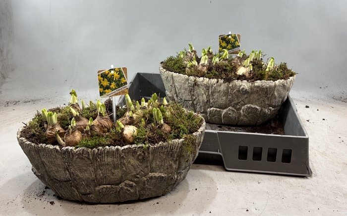 <h4>ARR N TETE A TETE</h4>