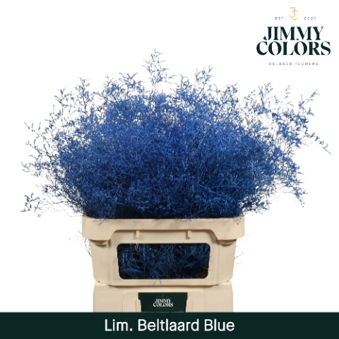 <h4>Lim Bel L90 Blue</h4>
